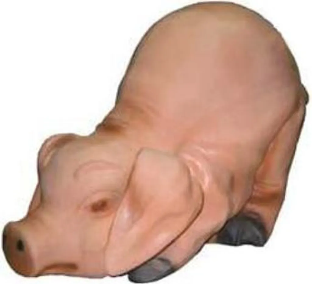 Décoration Jardin Animaux : Statue Cochon pour Aménager votre Extérieur