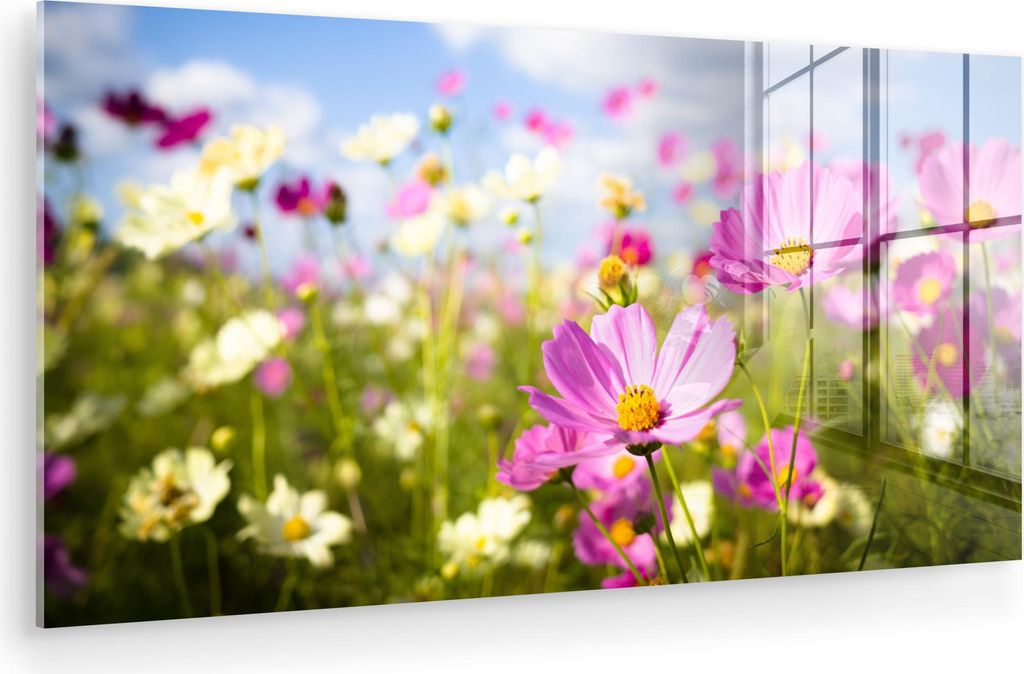 MuchoWow Glasbilder - Bilder auf Wandbild - Foto auf Glas Blumen - Wiese - Lila - Gras - Weiß - Wolken - Blau 40x20 cm Wanddekoration aus Glas - A...