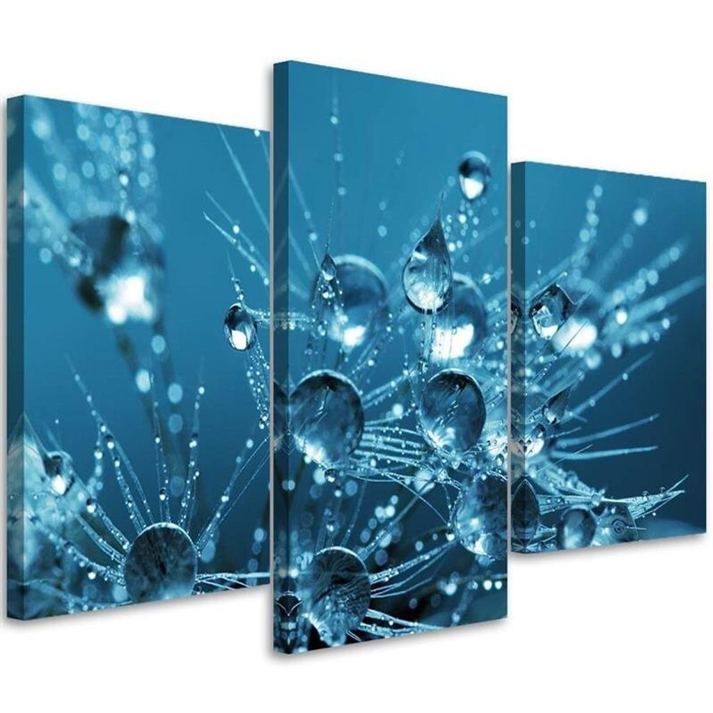 Triptychon auf leinwand foto einer schmeißfliege und tau 90x60 cm Feeby blau wandbild bereit zum aufhängen