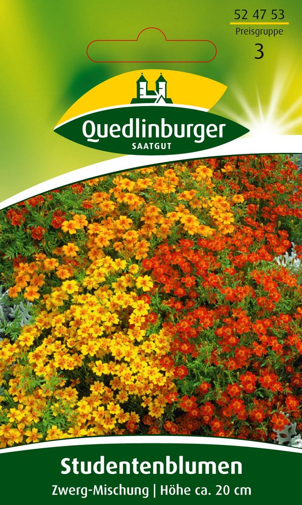 Studentenblume, Zwerg-Mischung Produktbild 