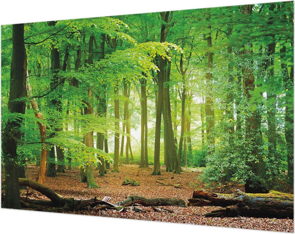 Wandtapete - Dekorative Tapete für Wohnzimmer- Tapetenfolie für Wanddekoration - 104x70 cm - Grüner Wald