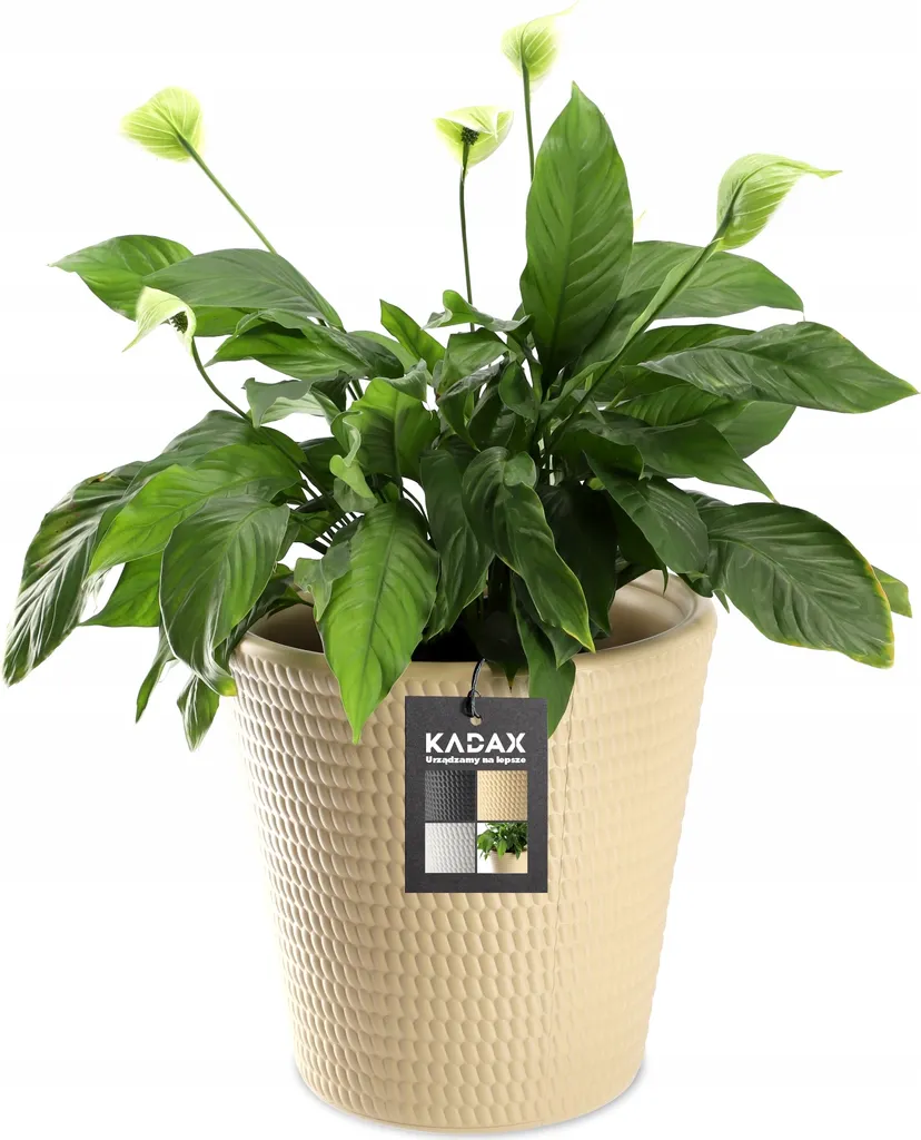 Pot de Plantes Design Crème 30cm pour Décoration Salon et Balconnet