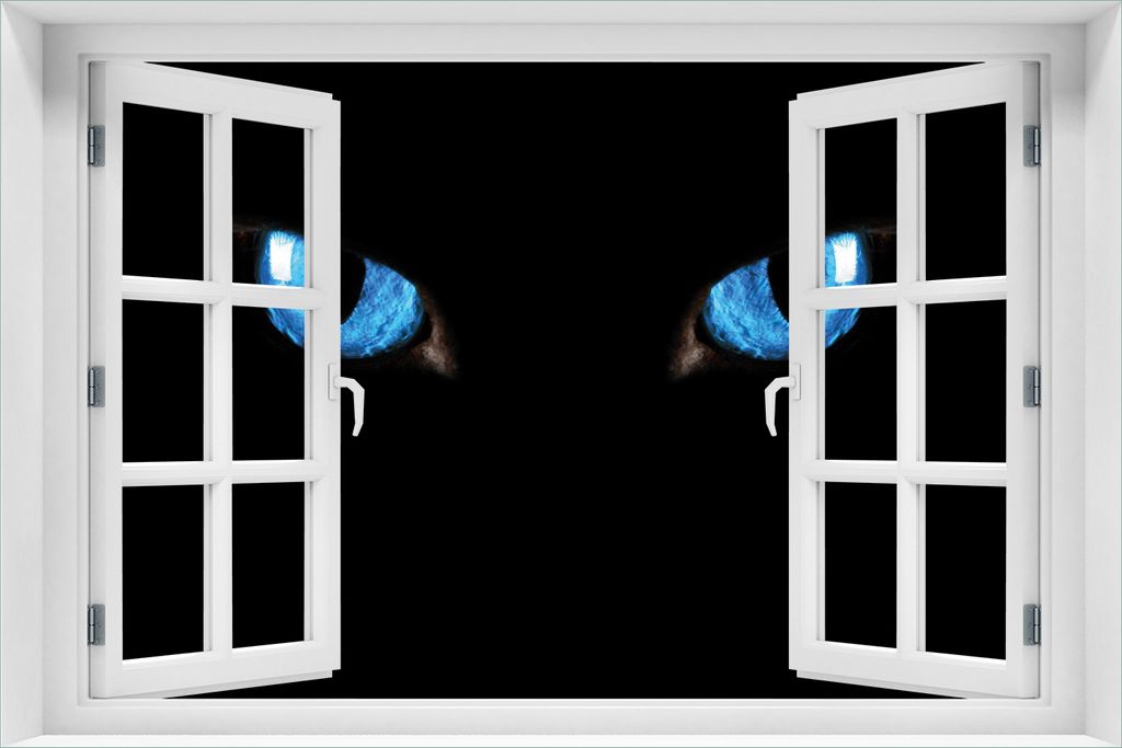 Wallario Poster mit Fenster-Illusion: Blaue Katzenaugen bei Produktbild 