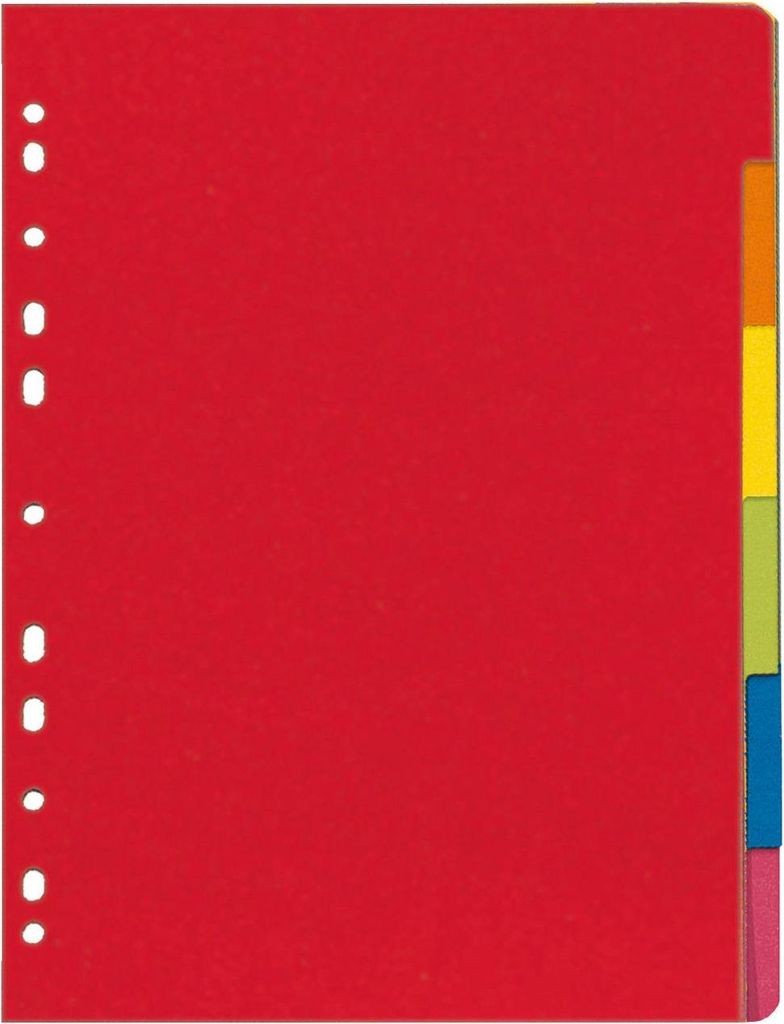 Herlitz Karton Register blanko DIN A4 farbig 6-teilig