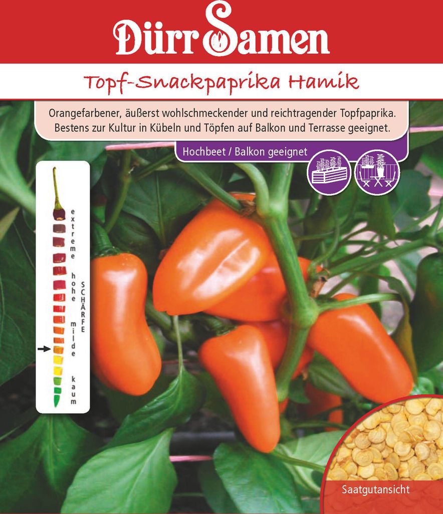 Topf-Snackpaprika Hamik | Paprikasamen von Dürr Samen