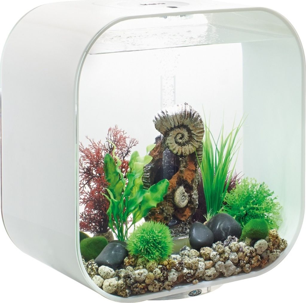 biOrb LIFE 30 MCR weiß (72055)