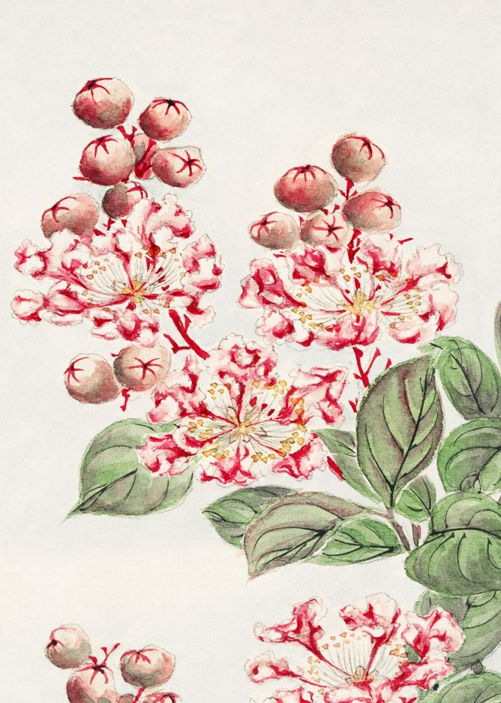 Plakat 50x70cm Sarusubi Blossoms, Morikaga Japanisch Vintage