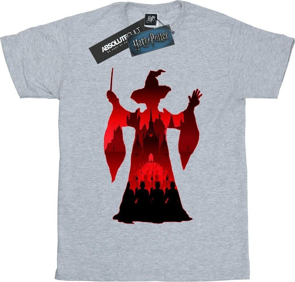 Harry Potter - T-Shirt für Damen BI26767 (XL) (Grau)
