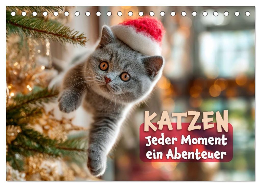 Katzen - Jeder Moment ein Abenteuer (Tischkalender 2027 DIN A5 quer), CALVENDO Monatskalender