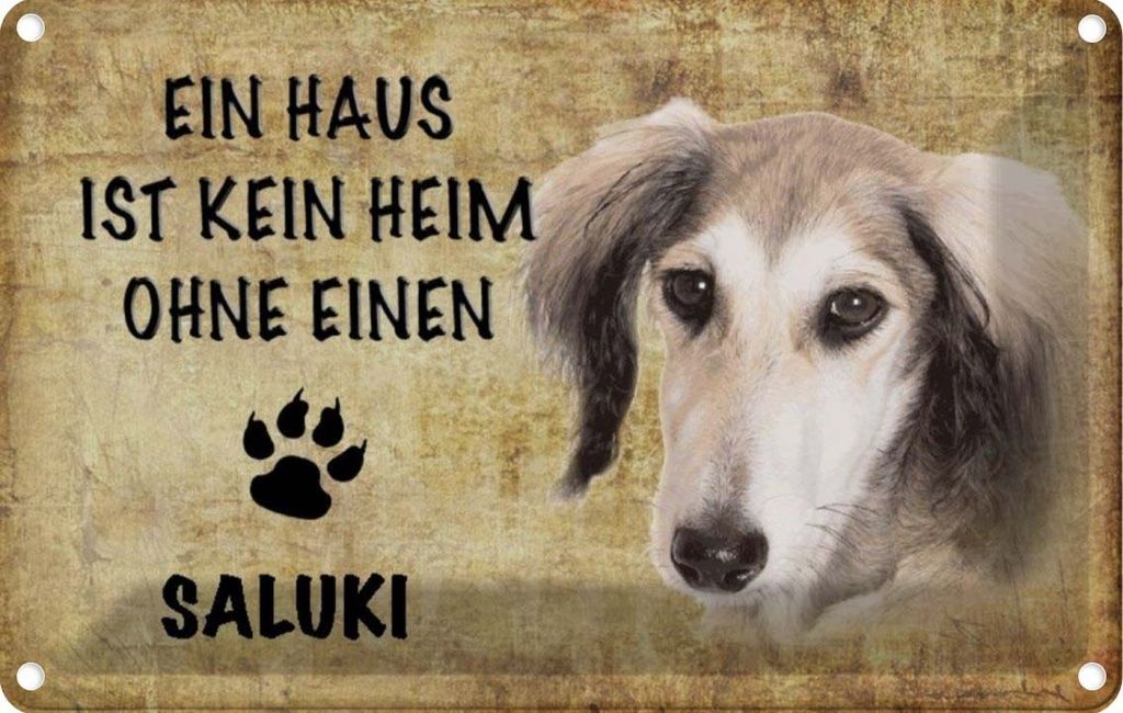 vianmo Blechschild 12x18 cm Saluki Hund ohne kein Heim Tier Haustier
