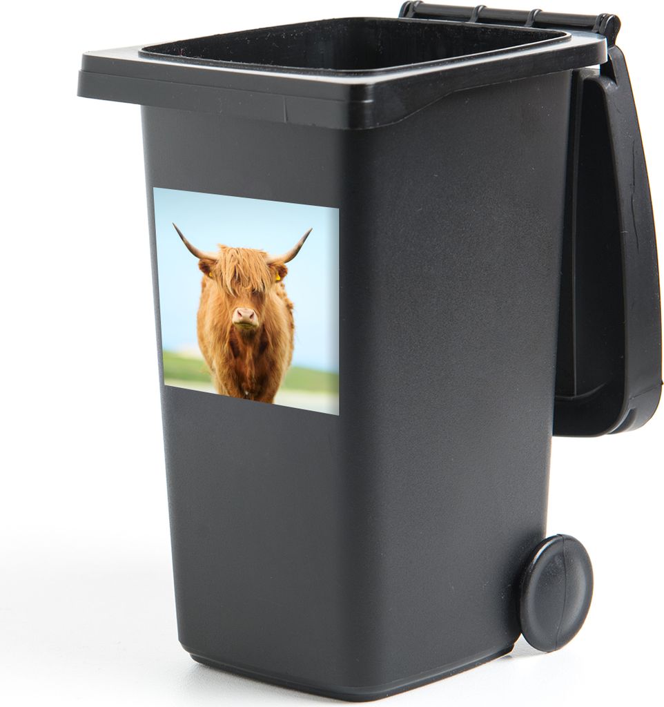 MuchoWow Mülltonnenaufkleber Schottischer Highlander - Haare - Gras 40x40 cm - Abfall-Aufkleber - Container - für Abfallcontainer