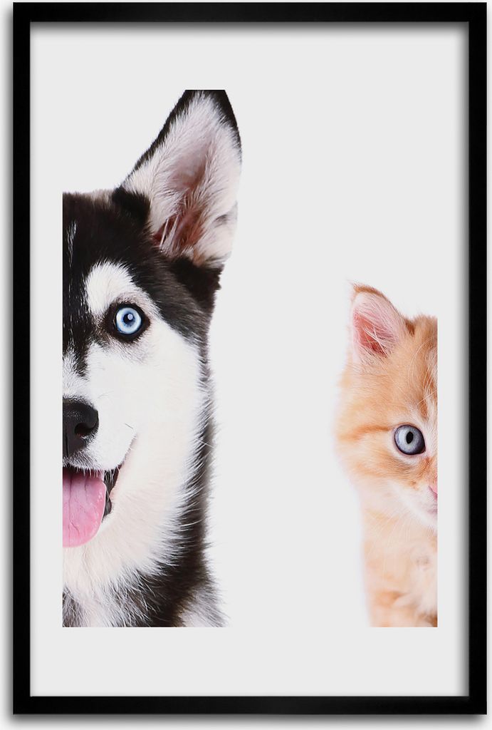 Bild - Bilderrahmen - 40 cm x 60 cm - MDF - Rahmen - Wandkunst - Hund und Katze