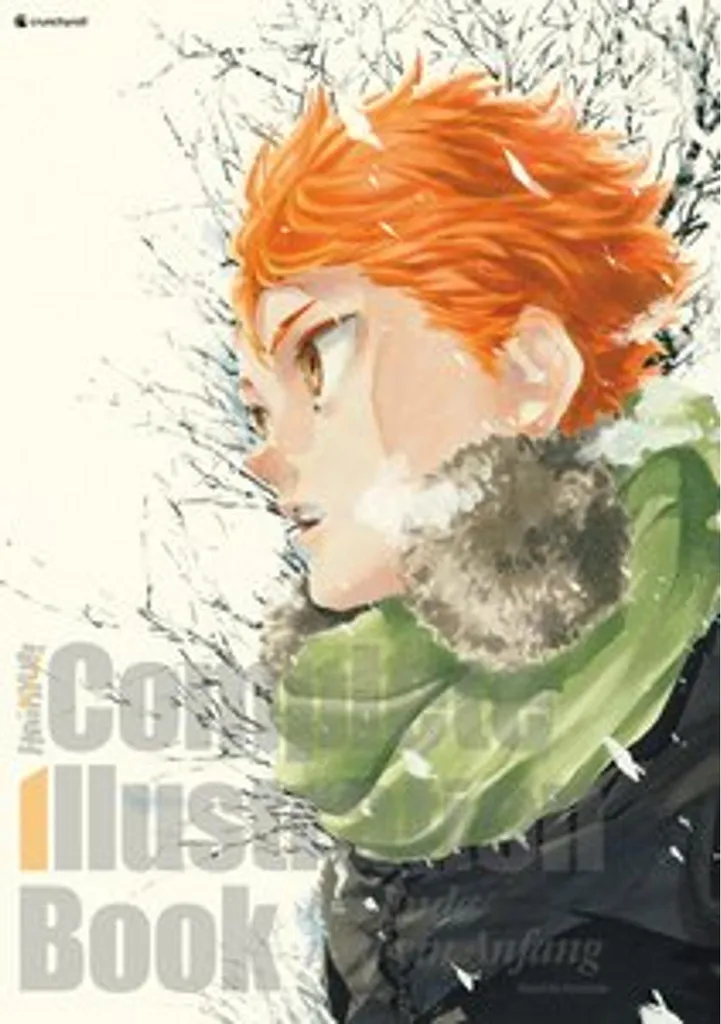Livre d'illustrations Haikyu!! Ein Ende und ein Anfang Artbook Manga