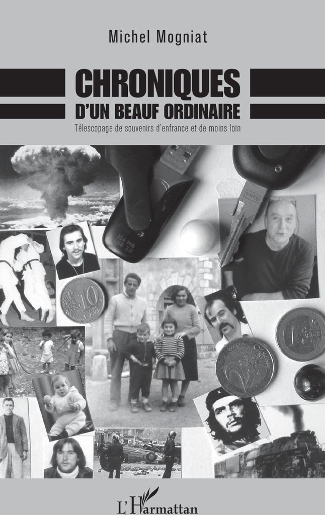 Chroniques d'un beauf ordinaire
