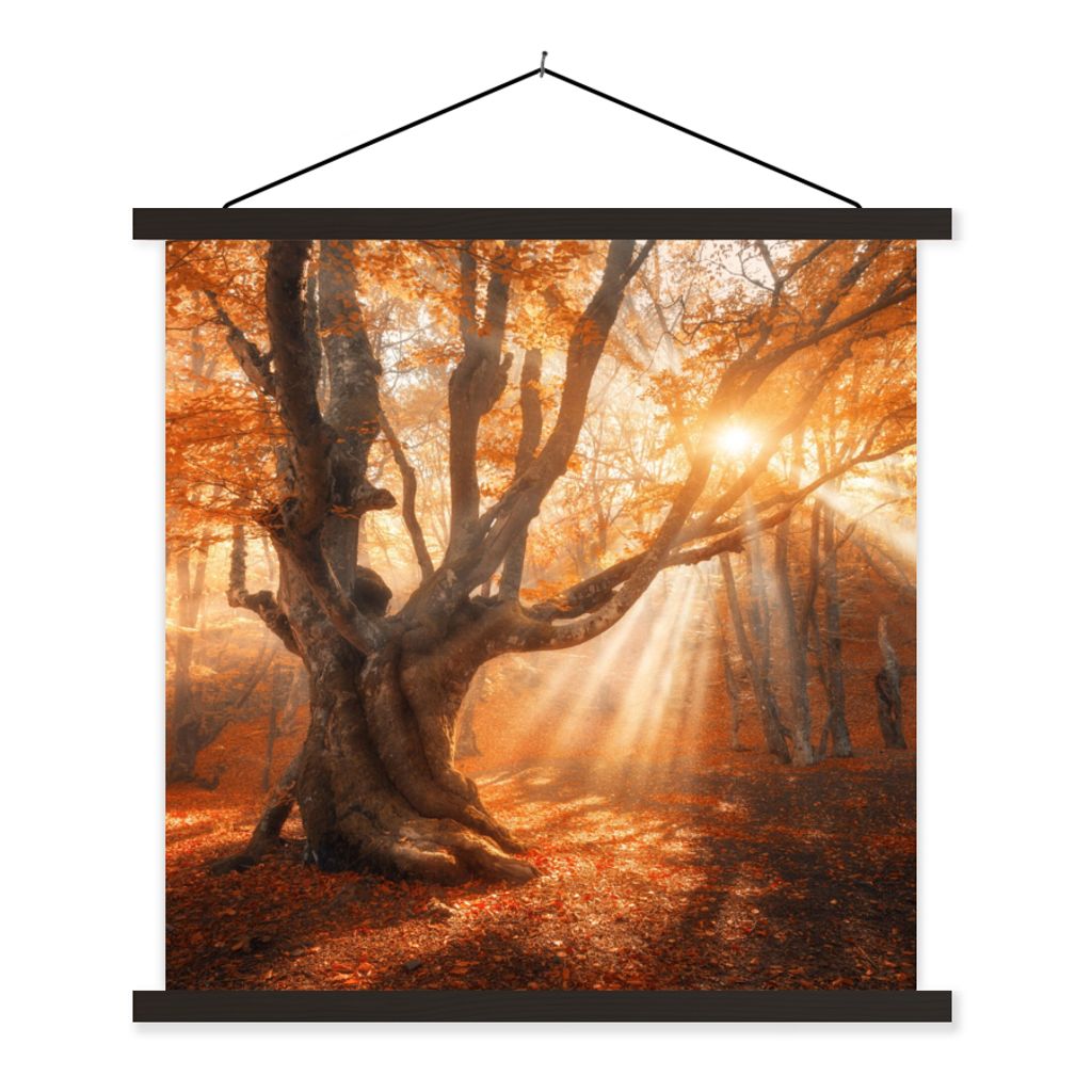 MuchoWow Textilposter Baum - Natur - Herbst 60x60 cm mit schwarzem Rahmen - Posteraufhänger