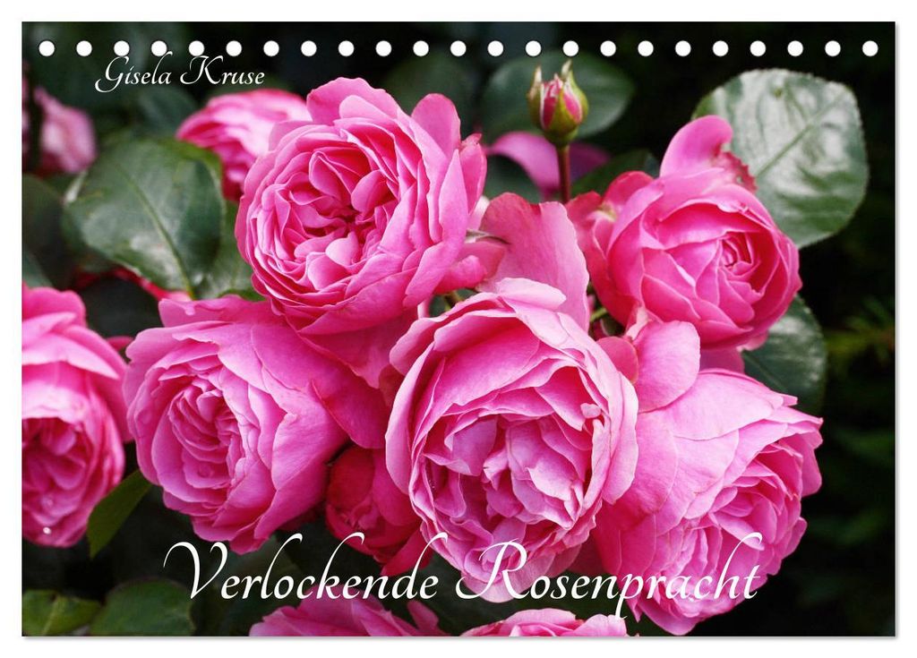 Verlockende Rosenpracht (Tischkalender 2027 DIN A5 quer), CALVENDO Monatskalender