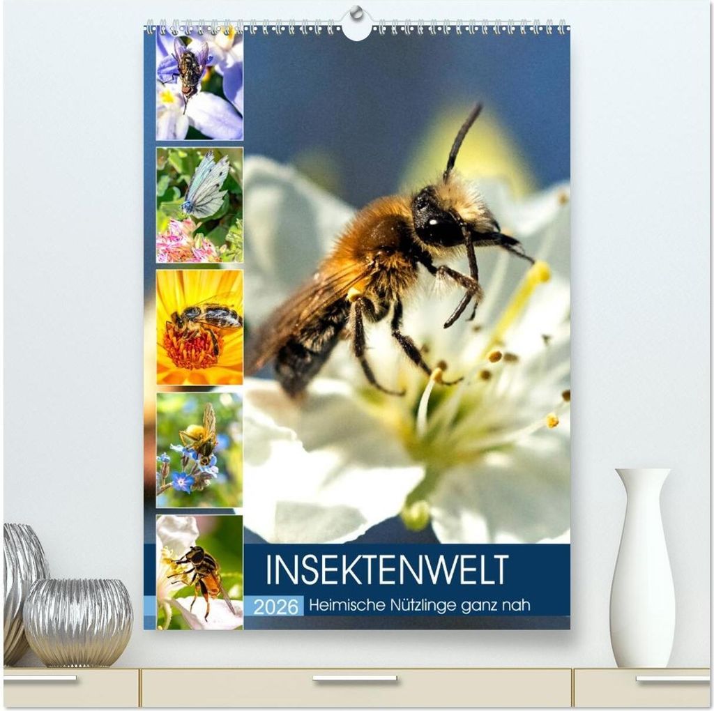 INSEKTENWELT - Heimische Nützlinge ganz nah (hochwertiger Premium Wandkalender 2026 DIN A2 hoch), Kunstdruck in Hochglanz
