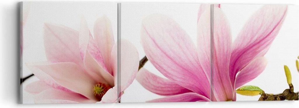 Bild auf Leinwand - Leinwandbild - Magnolie blume natur pflanze - 90x30cm - Wand Bild - Wanddeko - Leinwanddruck - Bilder - Kunstdruck - Wanddekora...