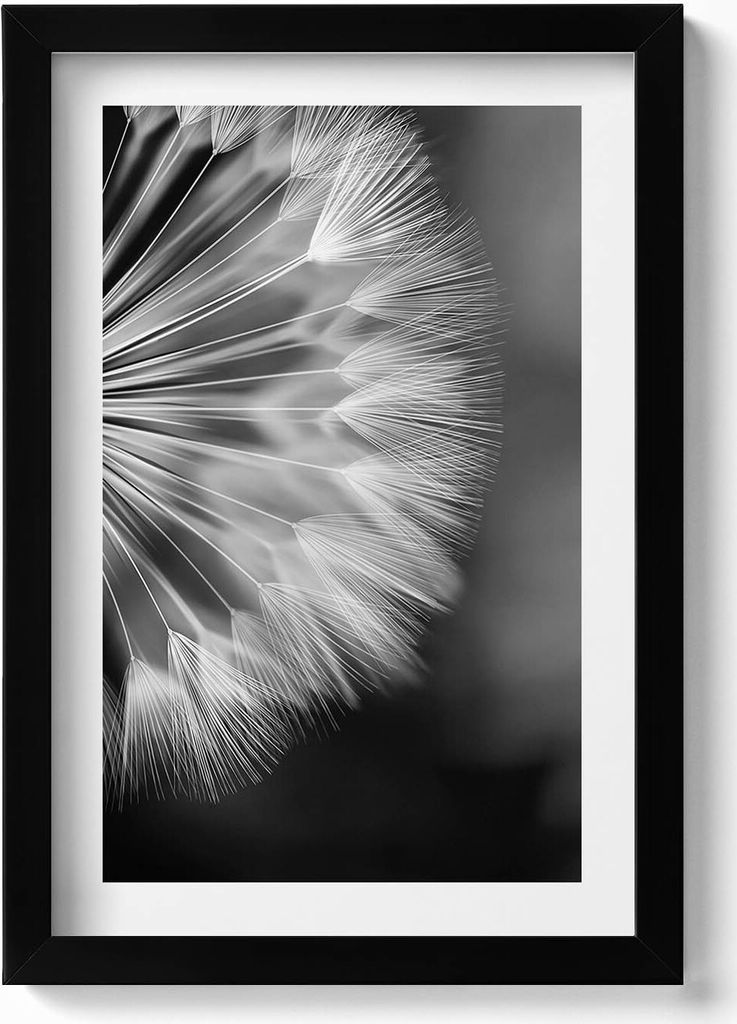 Schwarz-weiße Nahaufnahme einer Pusteblume– Wandbild mit Rahmen – Gerahmtes Bild – Wanddekoration – 20x30 cm – Schwarz