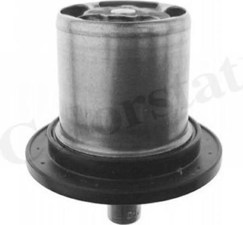 Thermostat de liquide de refroidissement THS1743.82 pour Laguna Espace