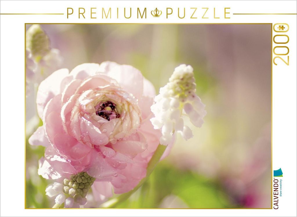 CALVENDO Puzzle Zarte Ranunkel in rosa 2000 Teile Puzzle quer | 2000 Teile Lege-Größe 90x67cm Foto-Puzzle für glückliche Stunden