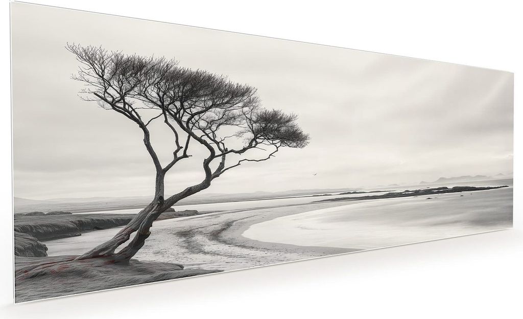 Küchenrückwand Spritzschutz Glas mit Motiv Einsamer Baum am Meer 40 x 40 cm