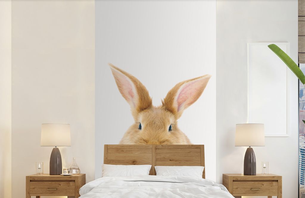 MuchoWow Fototapete für Wohnzimmer oder Schlafzimmer Wandtapete Vinyl Motivtapete Kaninchen - Babykaninchen - Tiere - Kinder - Mädchen - Jungen...