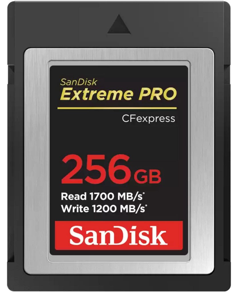 SanDisk - 256 Go, CFexpress, 1700 Mo/s, 1200 Mo/s, noir | Image du produit 