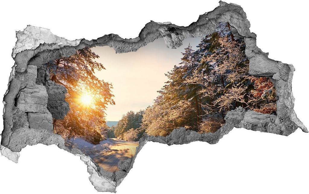Selbstklebender Loch-3D-Aufkleber 95x73 cm Der Weg in den Wäldern im Winter