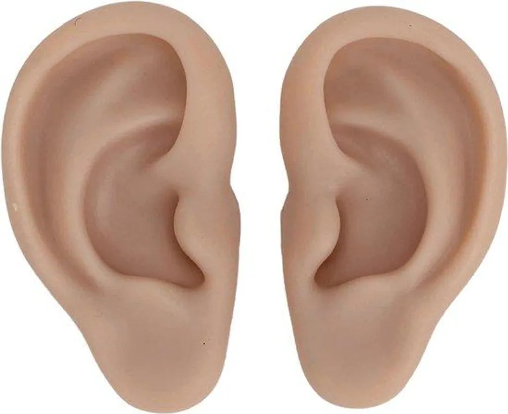Modèle d'oreille en silicone souple brun foncé pour acupuncture et bijoux