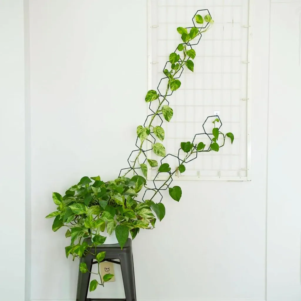 Treillis hexagonal robuste avec serre-câbles pour plante et fleur 40cm - 2