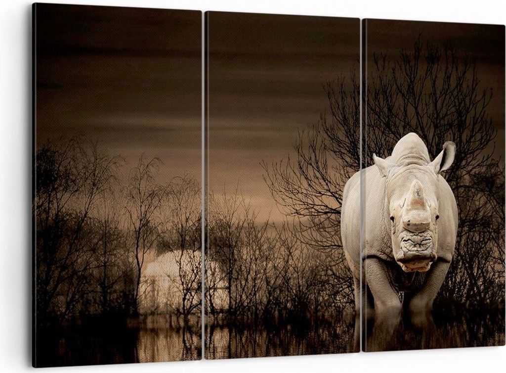 Bild auf Leinwand - Leinwandbild - Tier Nashörner Insekten - 105x70cm - Wand Bild - Wanddeko - Leinwanddruck - Bilder - Kunstdruck - Wanddekoratio...
