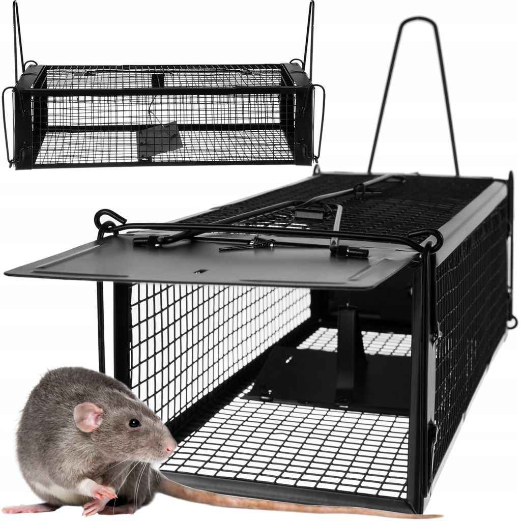 A live trap for rodents is shown with a rat in the foreground.