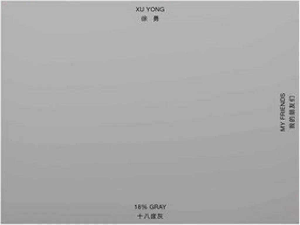 Couteau Xu Yong forgé : ne fatiguez plus vos mains lors de la découpe