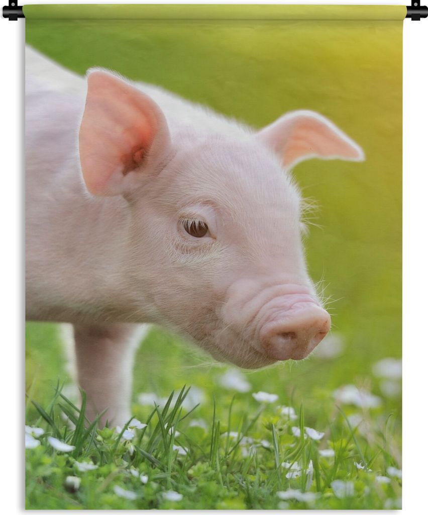 MuchoWow Wandteppich Wandbehang Tiere - Ferkel - Schwein 60x80 cm Tapisserie Dekoration Wandtuch - Decke - Wandtücher - Wohne