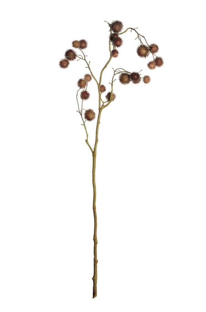 ASA Fruchtzweig XL, hellbraun DEKO L. 93 cm 66477444 ! Vorteilsset beinhaltet 4 x den genannten Artikel und Geschenk + Spende