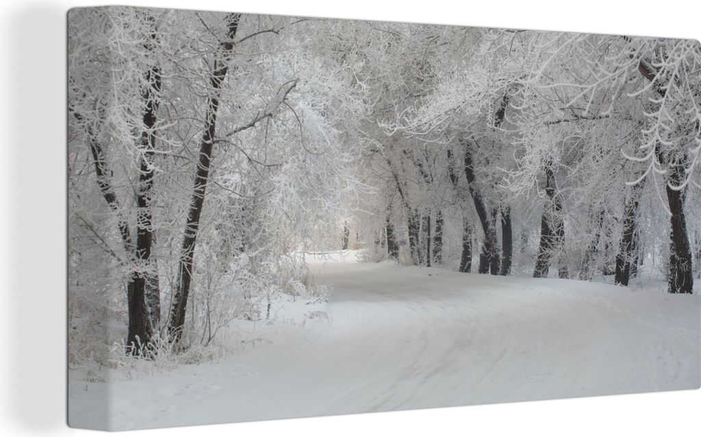 MuchoWow - Leinwandbilder - Bäume - Schnee - Winter, Wandbild, Wanddeko Bilder Wohnzimmer, 40x20 cm