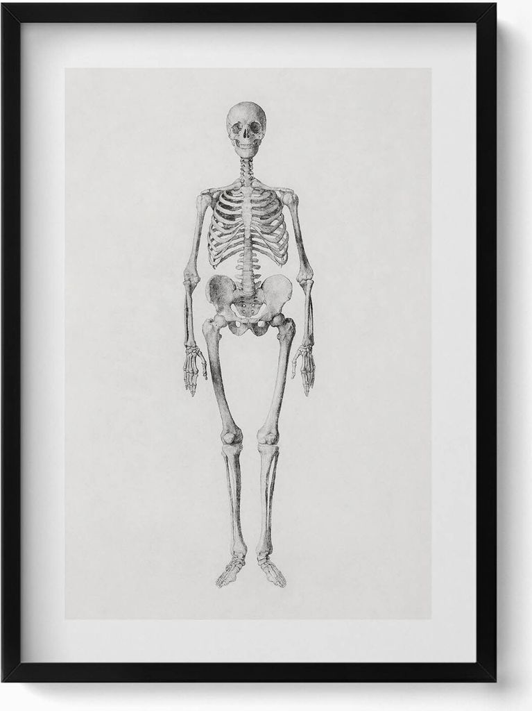 Skizze eines Skeletts– Wandbild mit Rahmen – Gerahmtes Bild – Wanddekoration – 50x70 cm – Schwarz Rahmen
