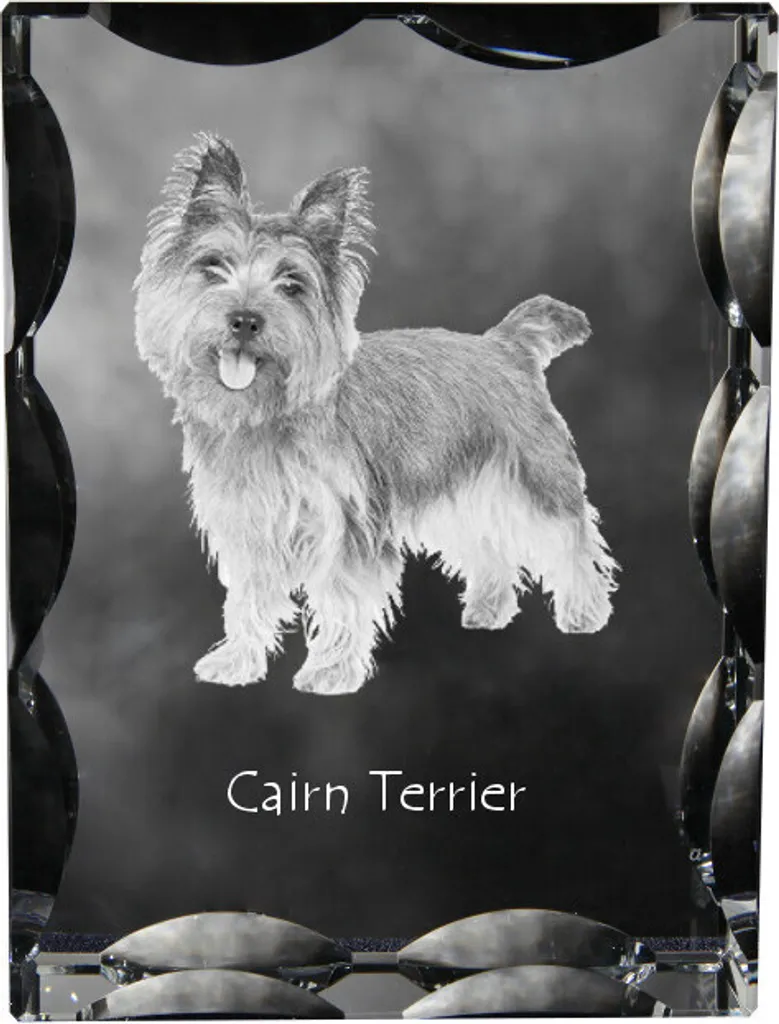 Memoriale Cairn Terrier Cristallo | Foto Incisa in Vetro Art-Dog