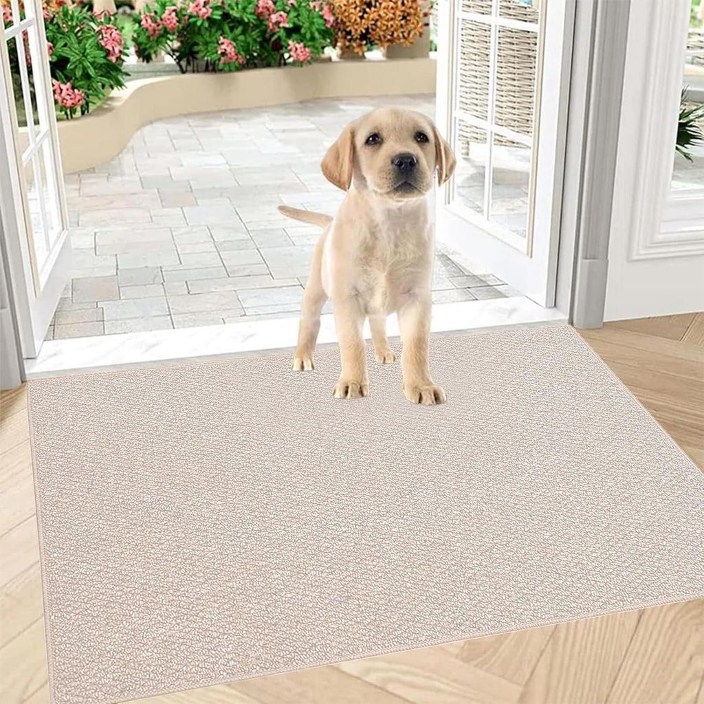 Schoonloopmat 80x100 cm, beige, antislip, wasbaar, Productafbeelding 