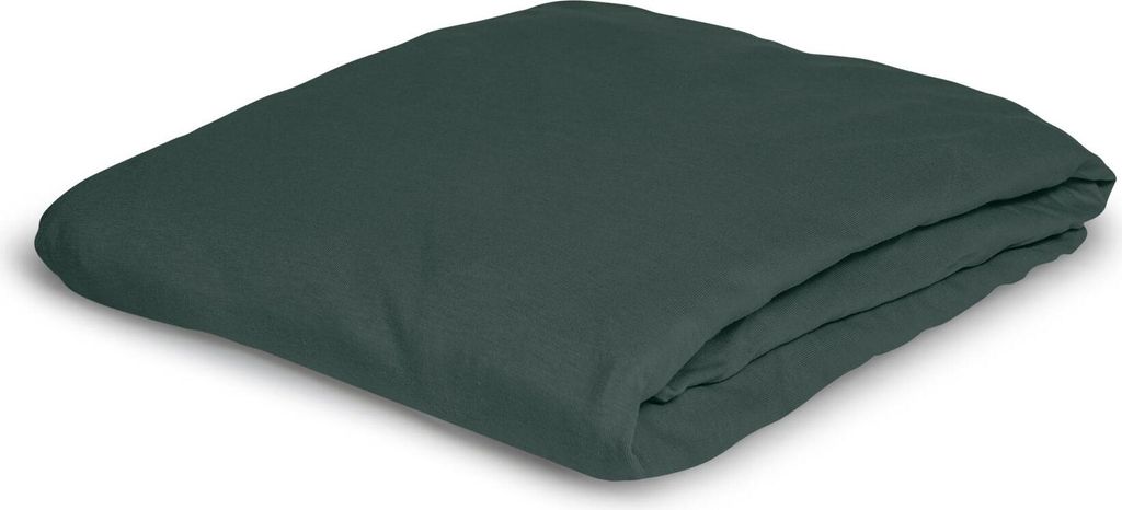 Irisette Premium Stretch Spannbetttuch Porto 0020 Farbe grün 100 x 200 cm