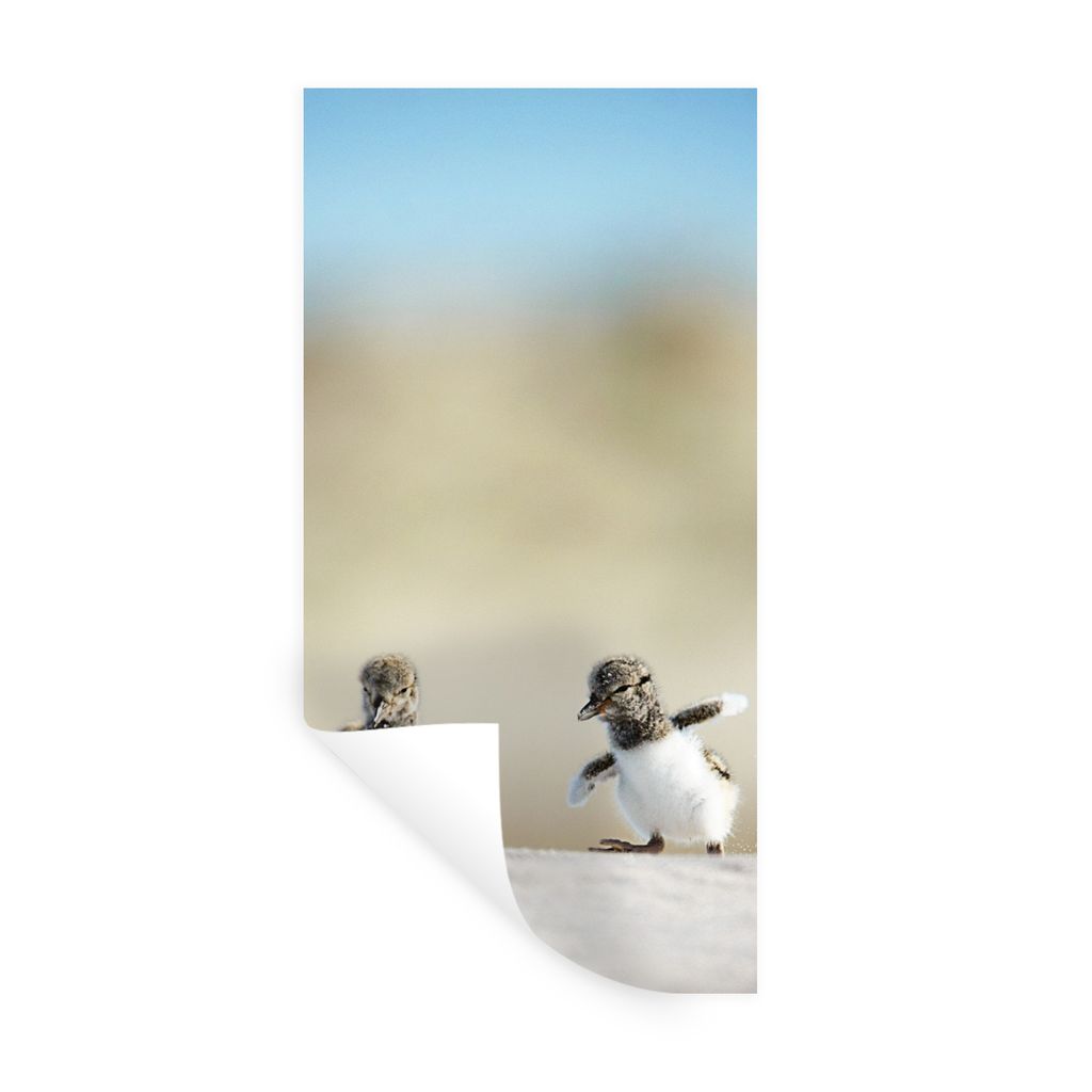 MuchoWow Wandtattoo Wandsticker Wandaufkleber Junge - Sand - Vögel 20x40 cm Selbstklebend und Repositionierbar - Selbstklebend - Fototapeten