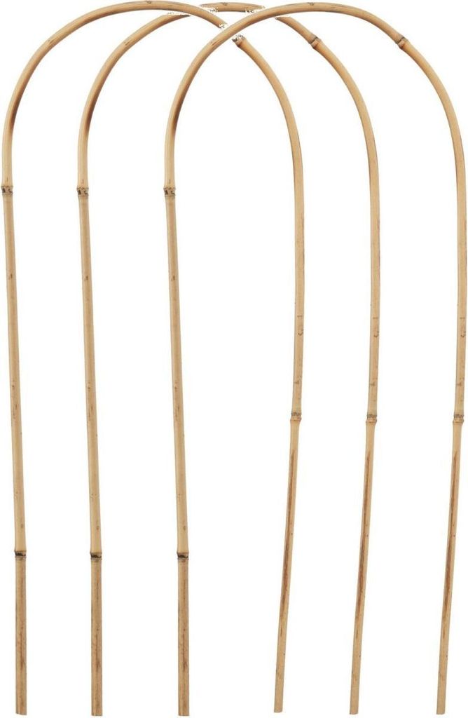 Four arched bamboo stakes are arranged in a row against a white background.