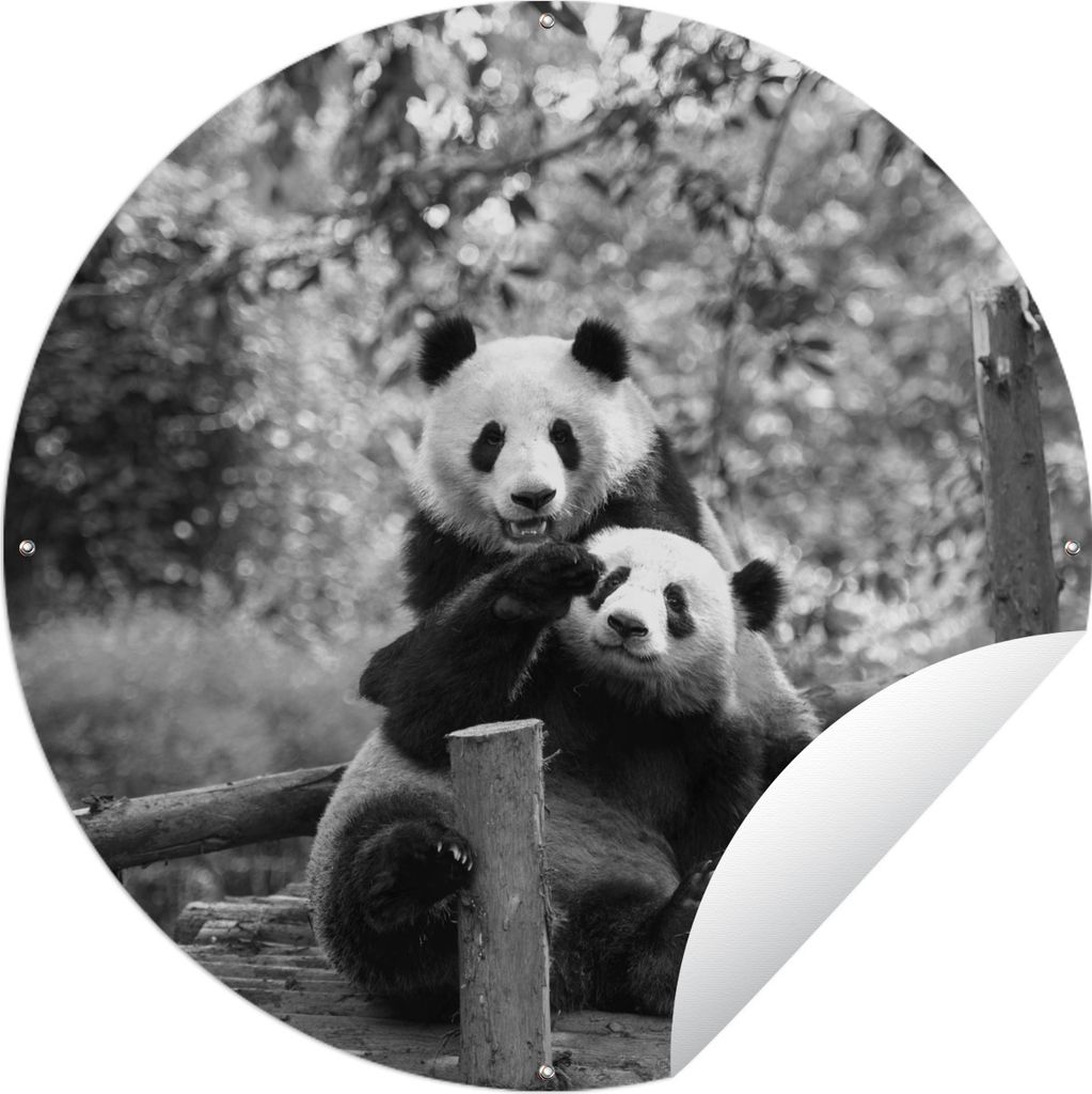 MuchoWow Gartenposter Outdoor-Poster Rund Zwei Pandas - schwarz und weiß Ø 120 cm Gartendeko Rundes Poster draußen