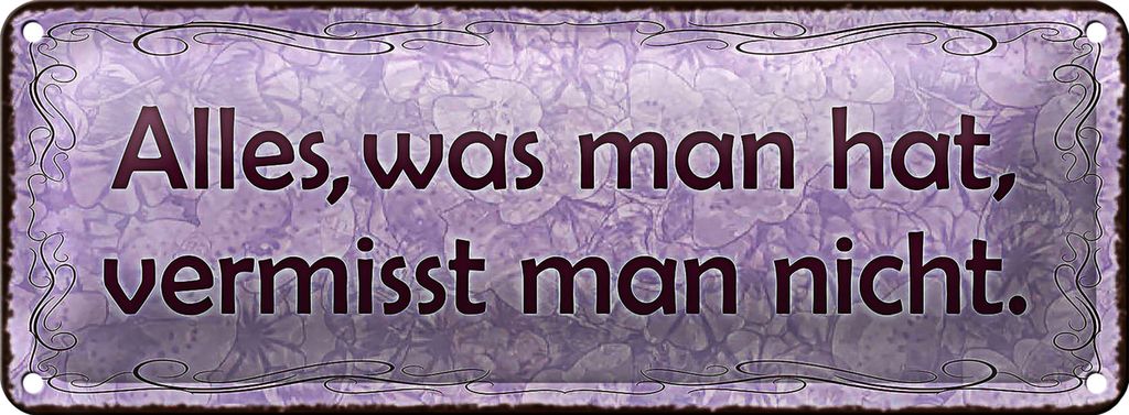 Blechschild Spruch 27x10cm alles was man hat vermisst nicht Dekoration