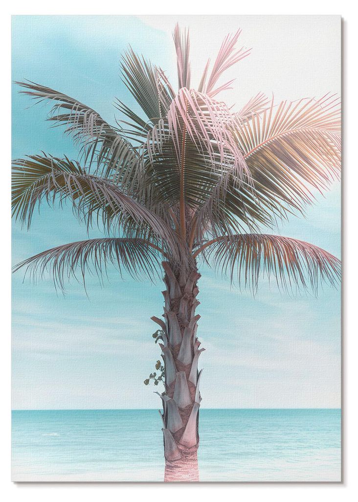 POSTER - 29x42 cm (A3) - Into - Palme über dem azurblauen Meer, samtener Himmel, tropisch - Wandbild für Wohnzimmer Schlafzimmer & Flur, Modernes...
