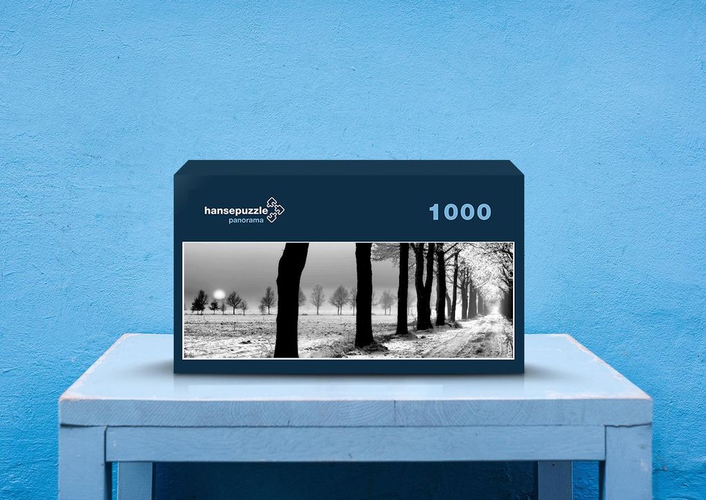 hansepuzzle 37391 - Winter Puzzle, 1050 Teile, Natur, 60,0 x 46,0cm mit hochwertiger Aufbewahrung, Kartonbox und wiederverschließbarem Beutel
