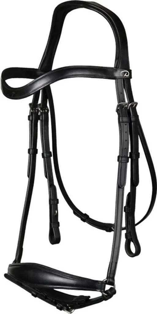 Bridon Dyon New English en cuir catalan et bouclerie en acier inoxydable