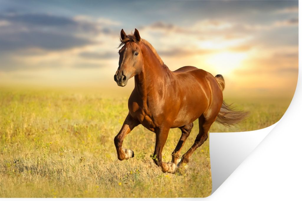 MuchoWow - Selbstklebend - Fototapeten