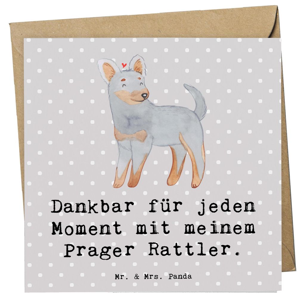 Mr. & Mrs. Panda Grußkarte Prager Rattler Moment - Grau Pastell - Geschenk, doppelkarte, Pincher, faltkarte, Glückwunschkarte, anlasskarte, Klapp...